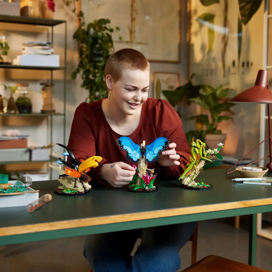 De insectencollectie
