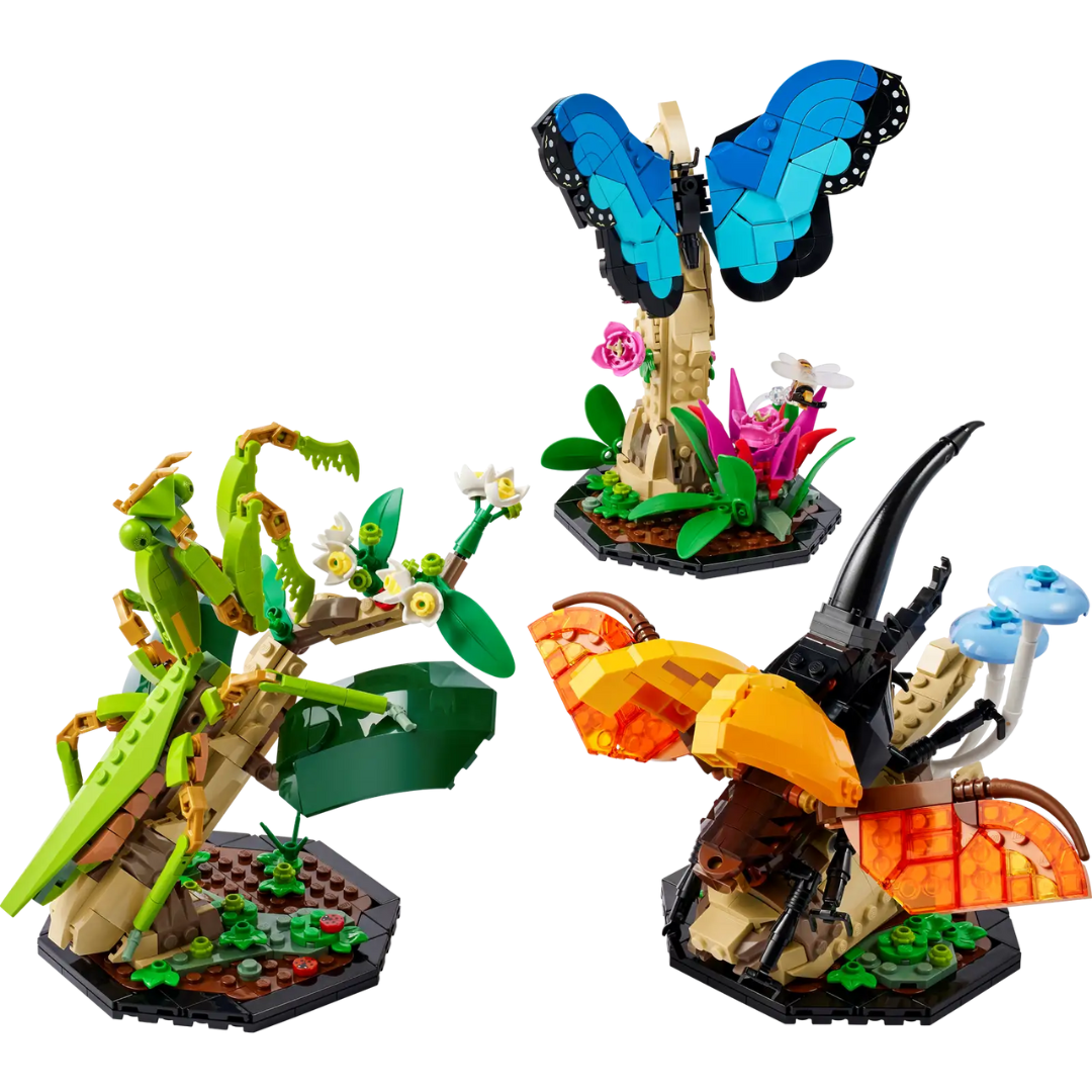De insectencollectie