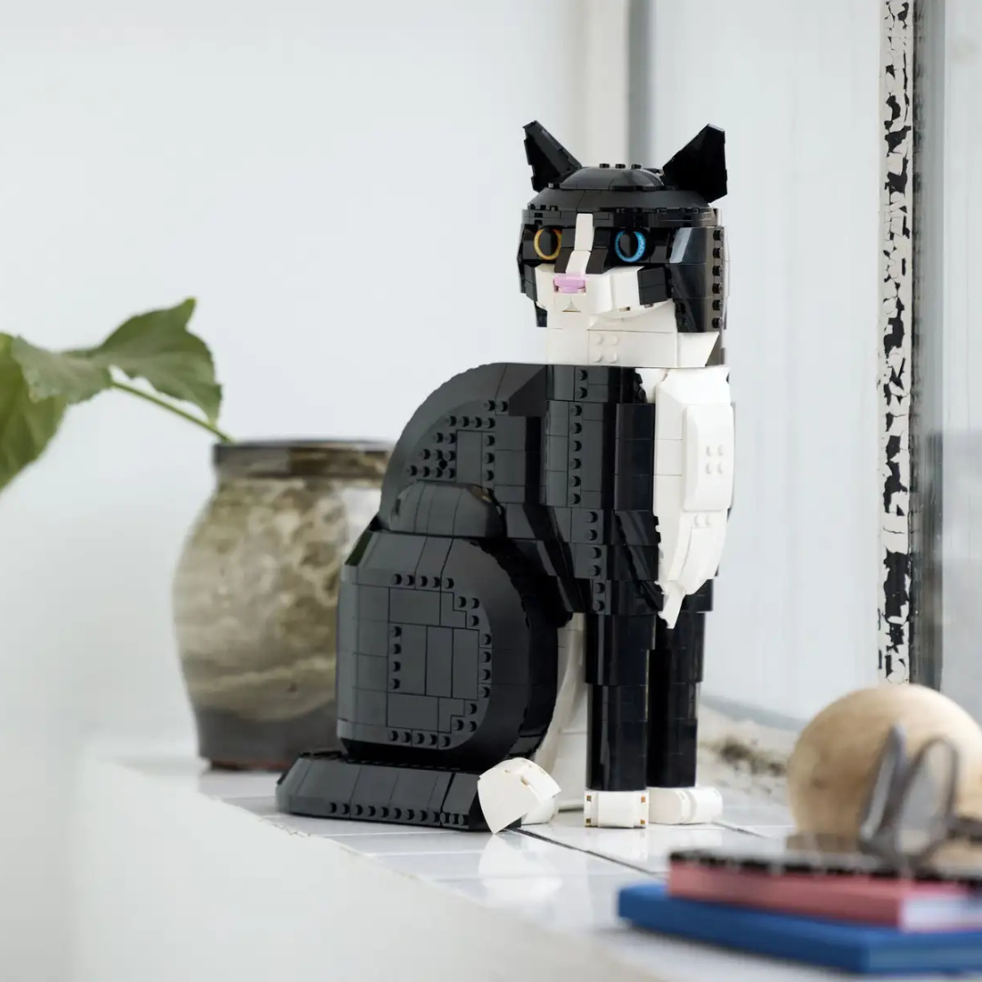 Zwart-witte kat