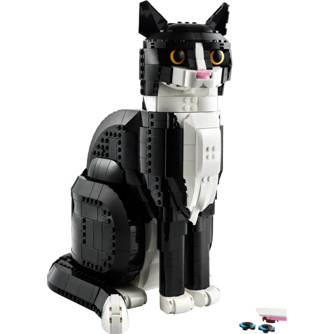 Zwart-witte kat