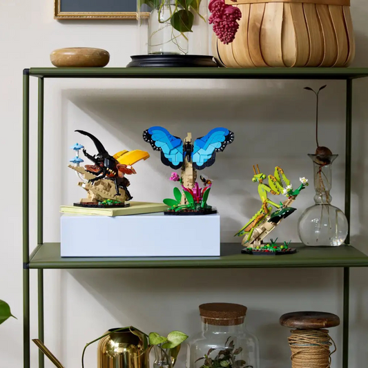 De insectencollectie