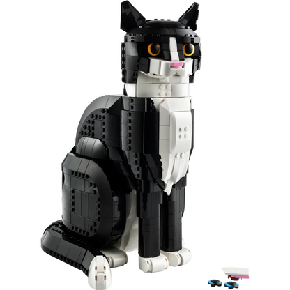Zwart-witte kat
